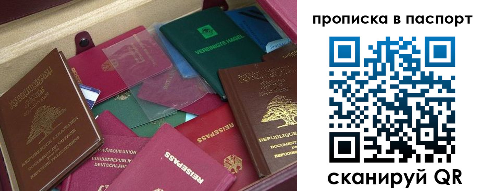 прописка для военкомата в Елизово